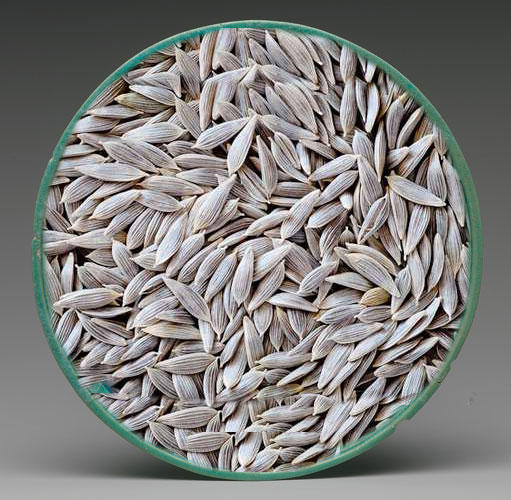 تخم کاهو(۵۰گرم)